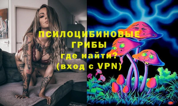 стафф Алексеевка