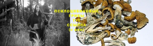 стафф Алексеевка