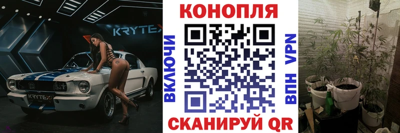 Бошки марихуана OG Kush как найти закладки Касли